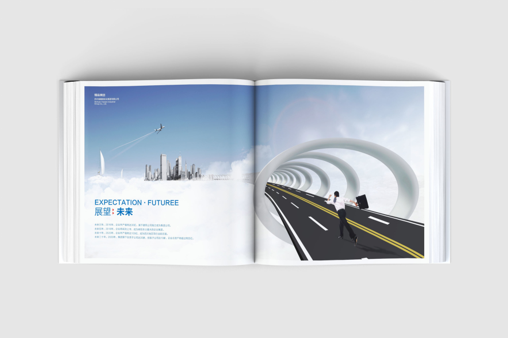 港南区画册设计